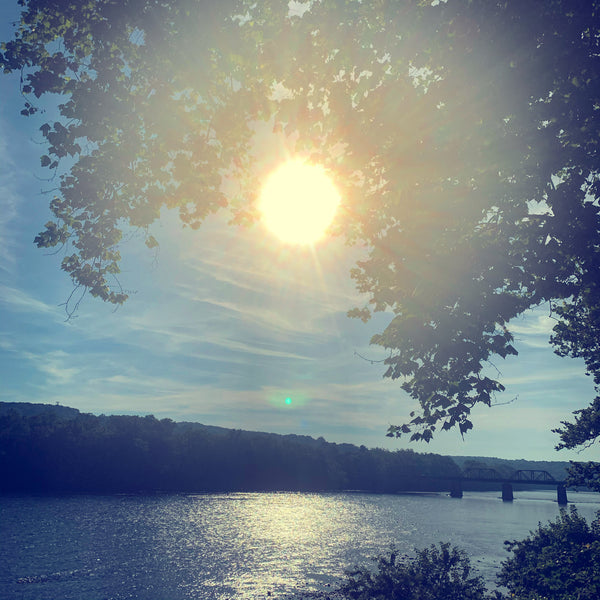 Summer Solstice Secrets - Amazing Earth