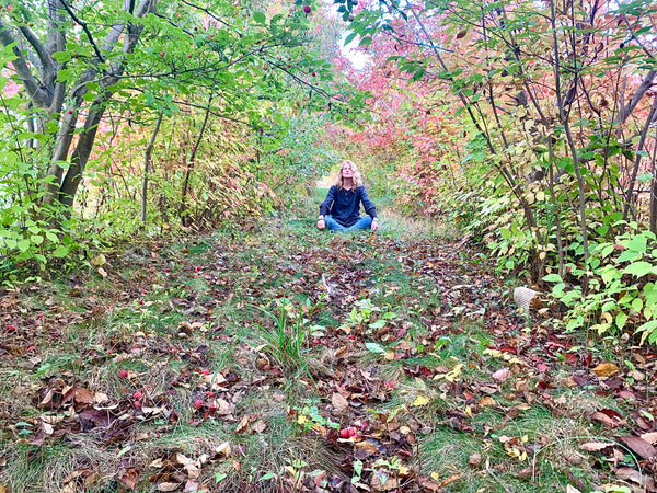 FOREST BATHING - Amazing Earth