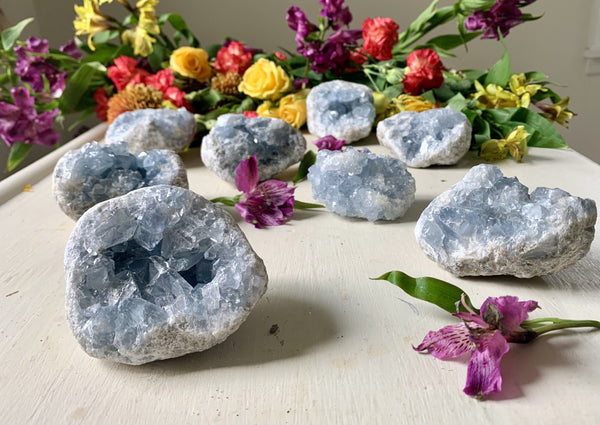 A Celestite Cluster by Amazing Earth sits among blue geode crystals on a light surface, surrounded by purple flowers and a vibrant bouquet of yellow, red, and purple blooms in the background.