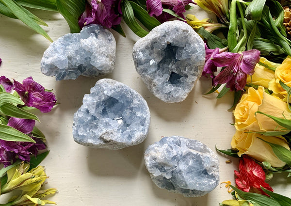 Four Amazing Earth Celestite Clusters rest on a light surface, surrounded by yellow roses and blossoms. This calming crystal display creates a peaceful ambiance—ideal for encouraging deep sleep and tranquility.