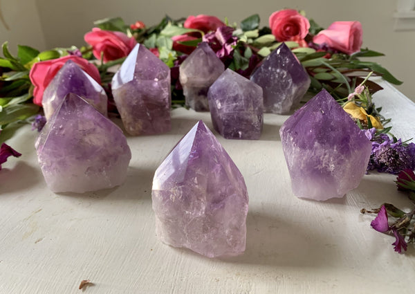Seven Amazing Earth Amethyst Half Polished Points sit on a white surface, accented by pink roses and greenery for a natural, decorative look—an elegant addition to any healing crystal collection.