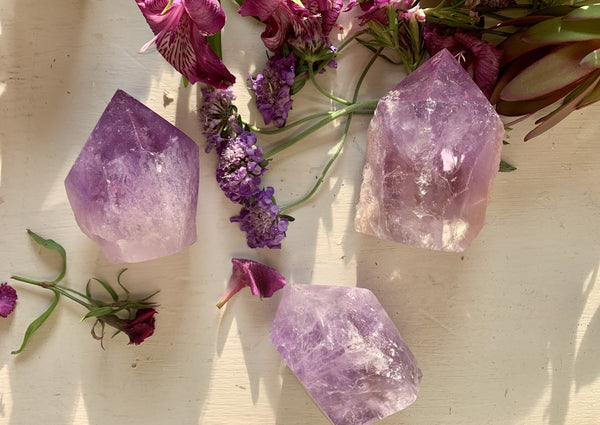 The Amazing Earth Amethyst Half Polished Point is displayed on a white surface with purple flowers and greenery, bathed in sunlight that casts gentle shadows.