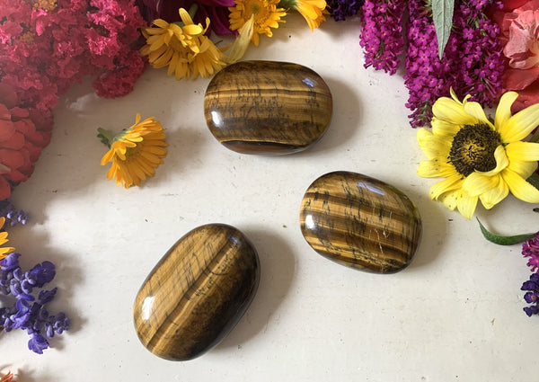 Three polished Amazing Earth Tigers Eye Palm Stones with golden-brown stripes rest on a white surface, surrounded by colorful flowers. These protection stones are ideal crystals for meditation.