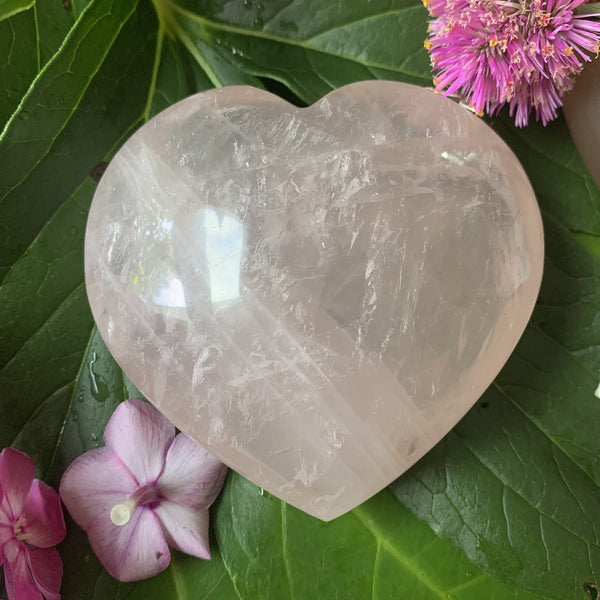 The Amazing Earth Rose Quartz Crystal Heart, hand-carved in Brazil, features a soft translucent look with visible textures—perfectly polished and nestled among vibrant leaves and flowers.